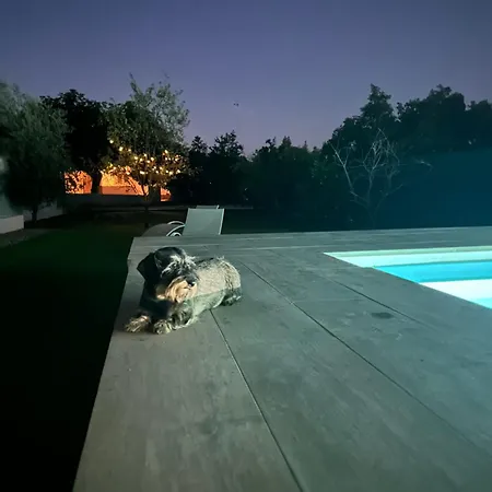 Ballesterin * Κόρδοβα
