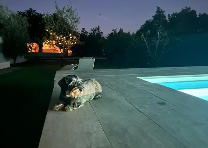 Ballesterin * Córdoba